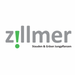 ZILLMER - Stauden & Gräser Jungpflanzen